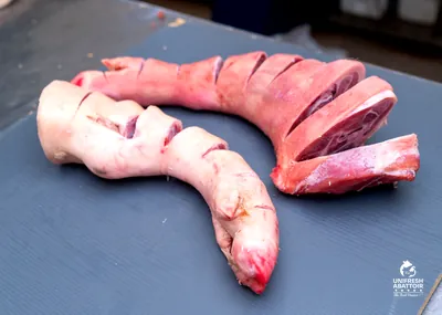 Pork Trotters
